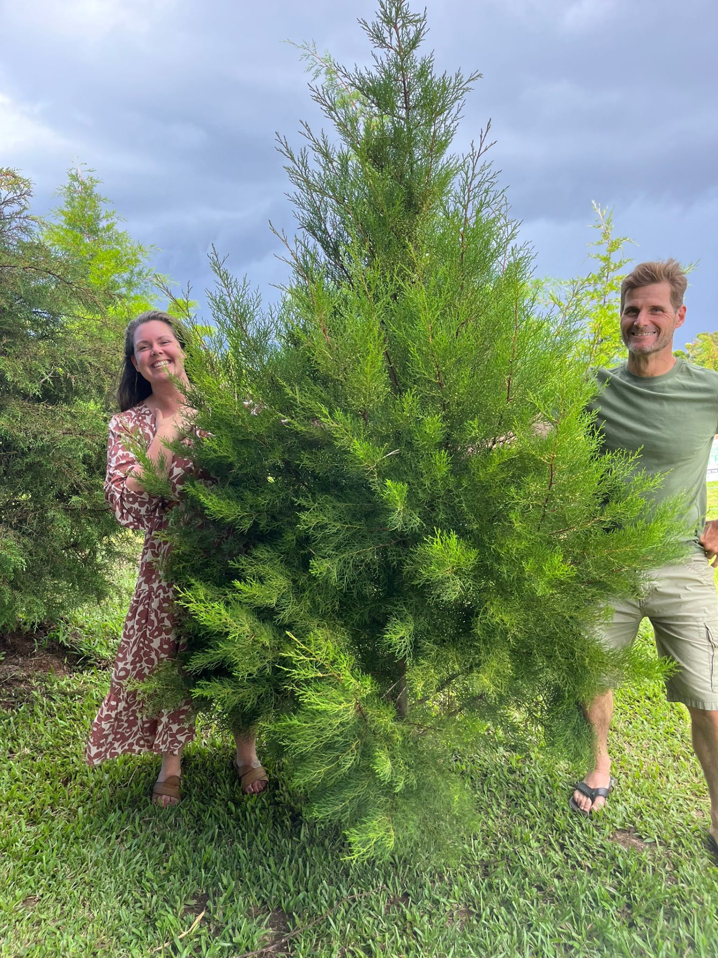 Happy couple holding their freshly cut Christmas tree at Hamakua Christmas Tree Forest