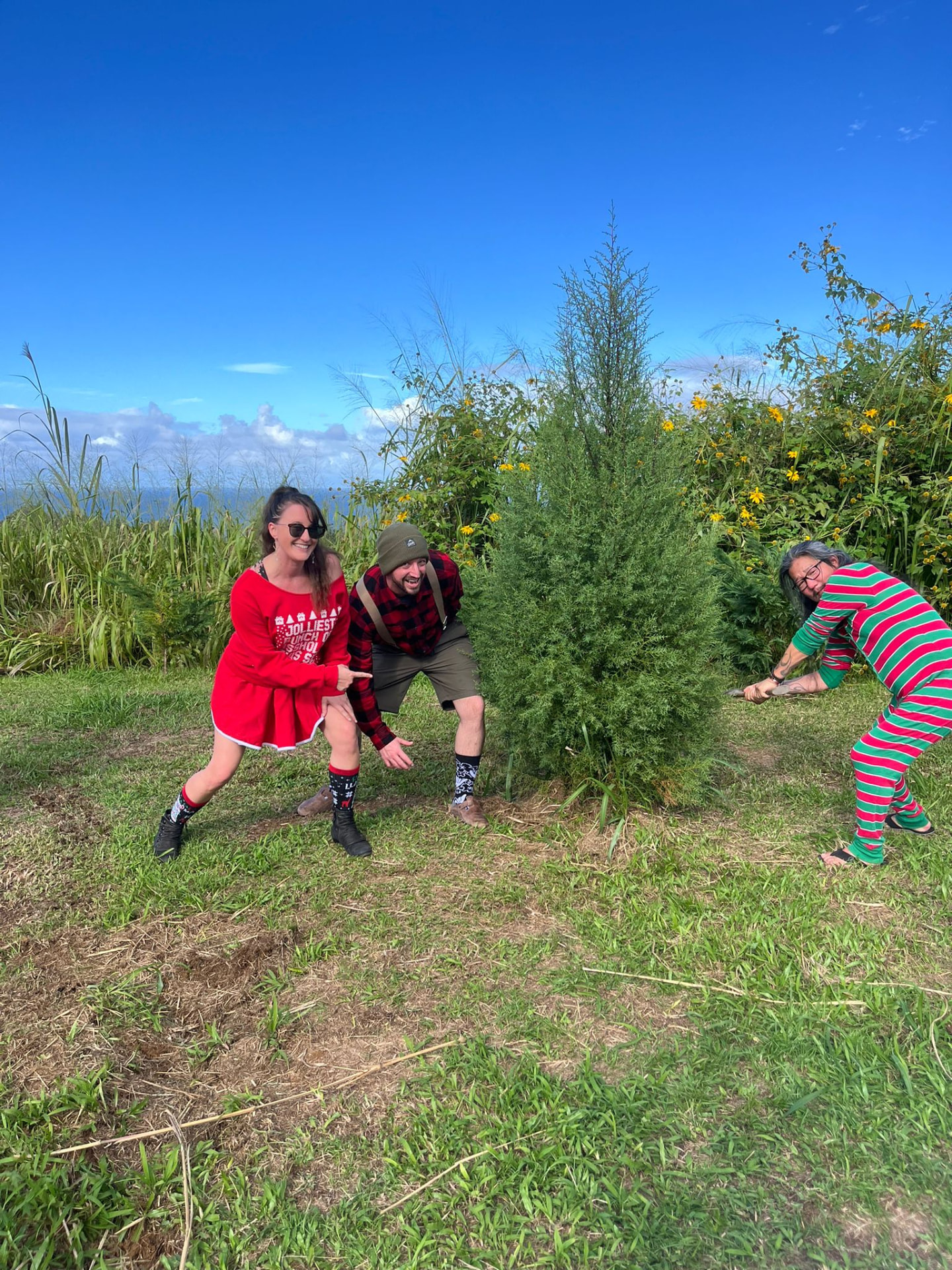 Friends in festive outfits cutting their Christmas tree at the you-cut farm