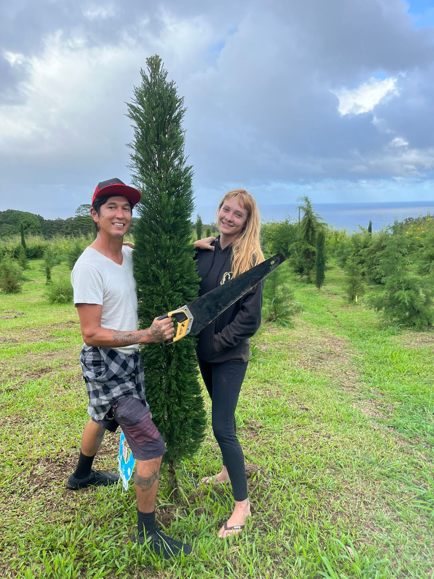 Couple with a hand saw next to the Christmas tree they just cut on the Hamakua hillside